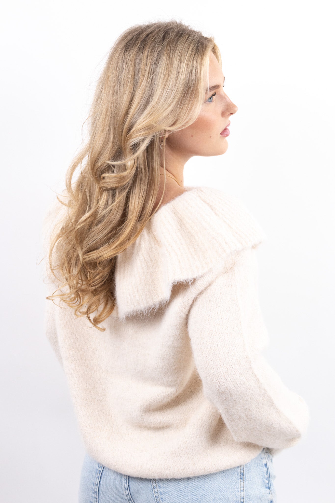 Shimmer Knit Sweater