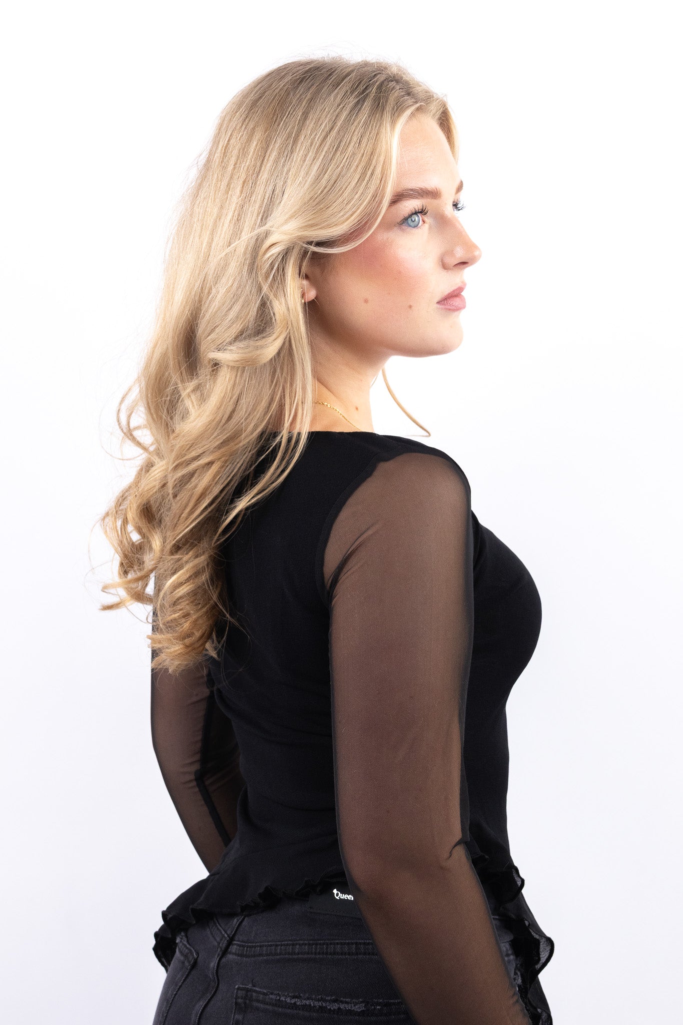 Mesh Long Sleeve Top